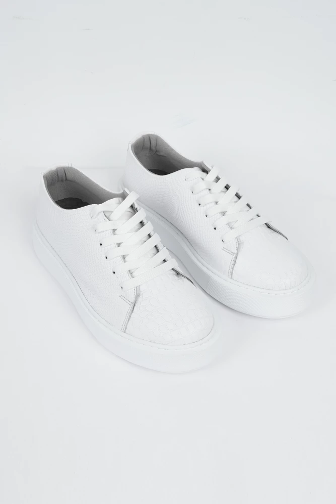 BASKET BASIC